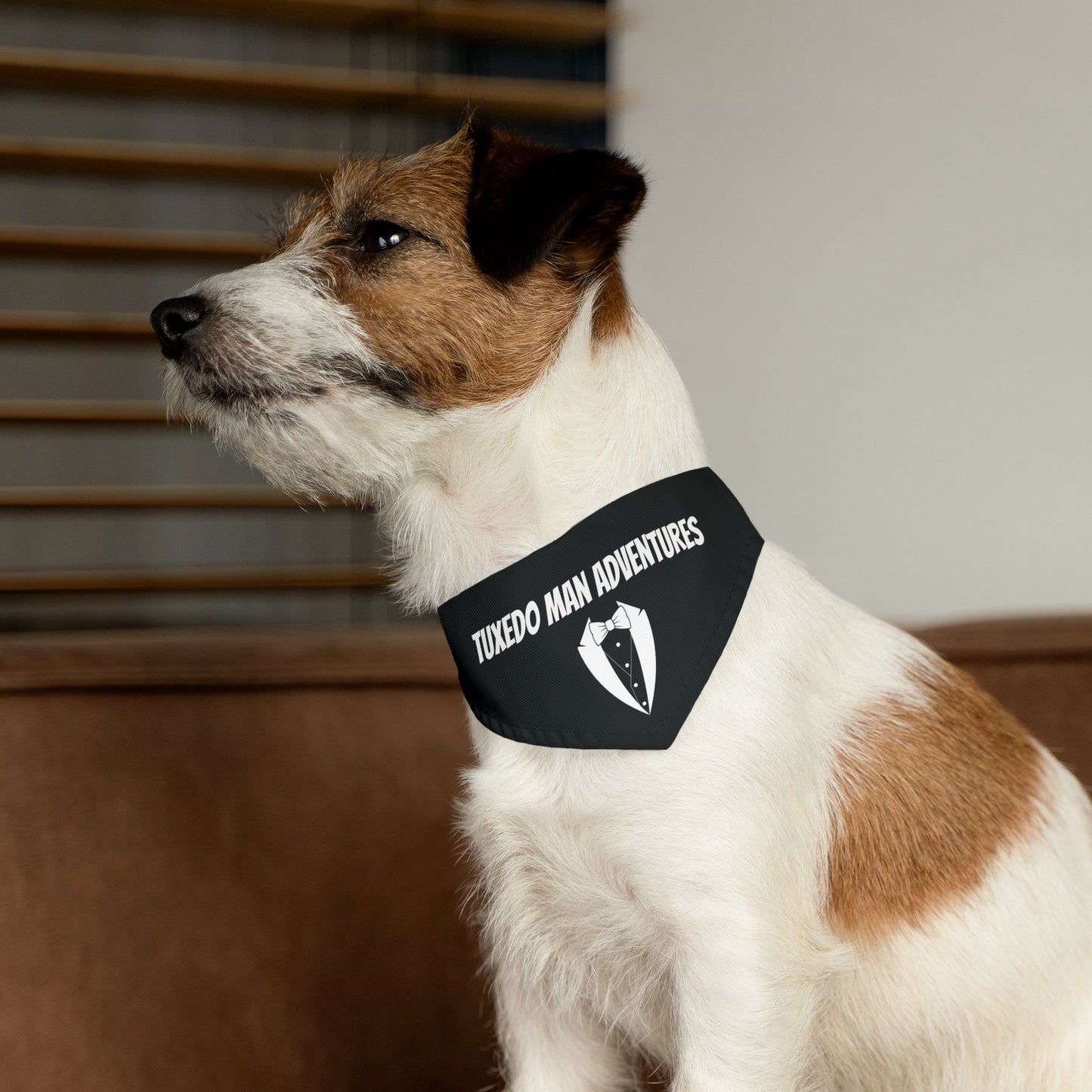 Black Tuxedo Pet Bandana Collar S-XL