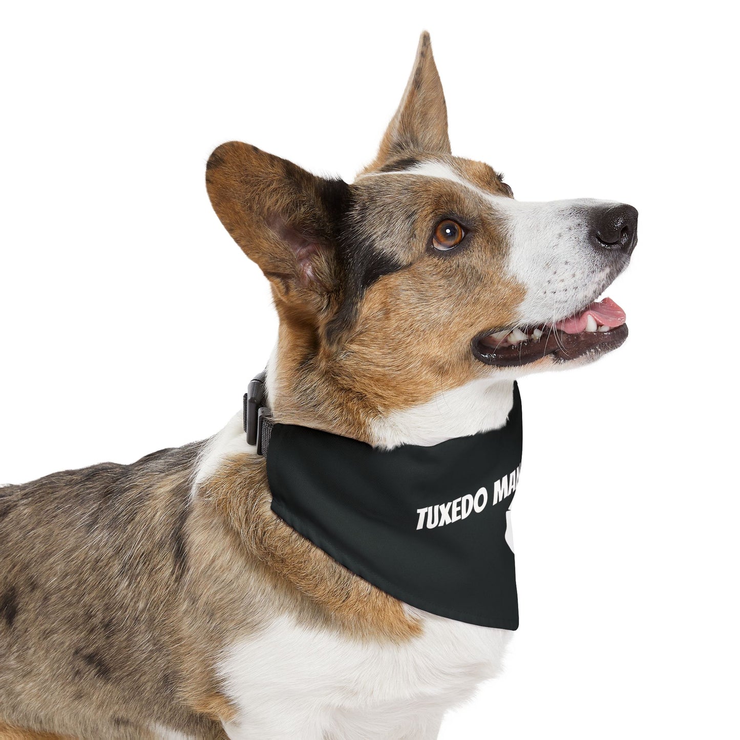 Black Tuxedo Pet Bandana Collar S-XL