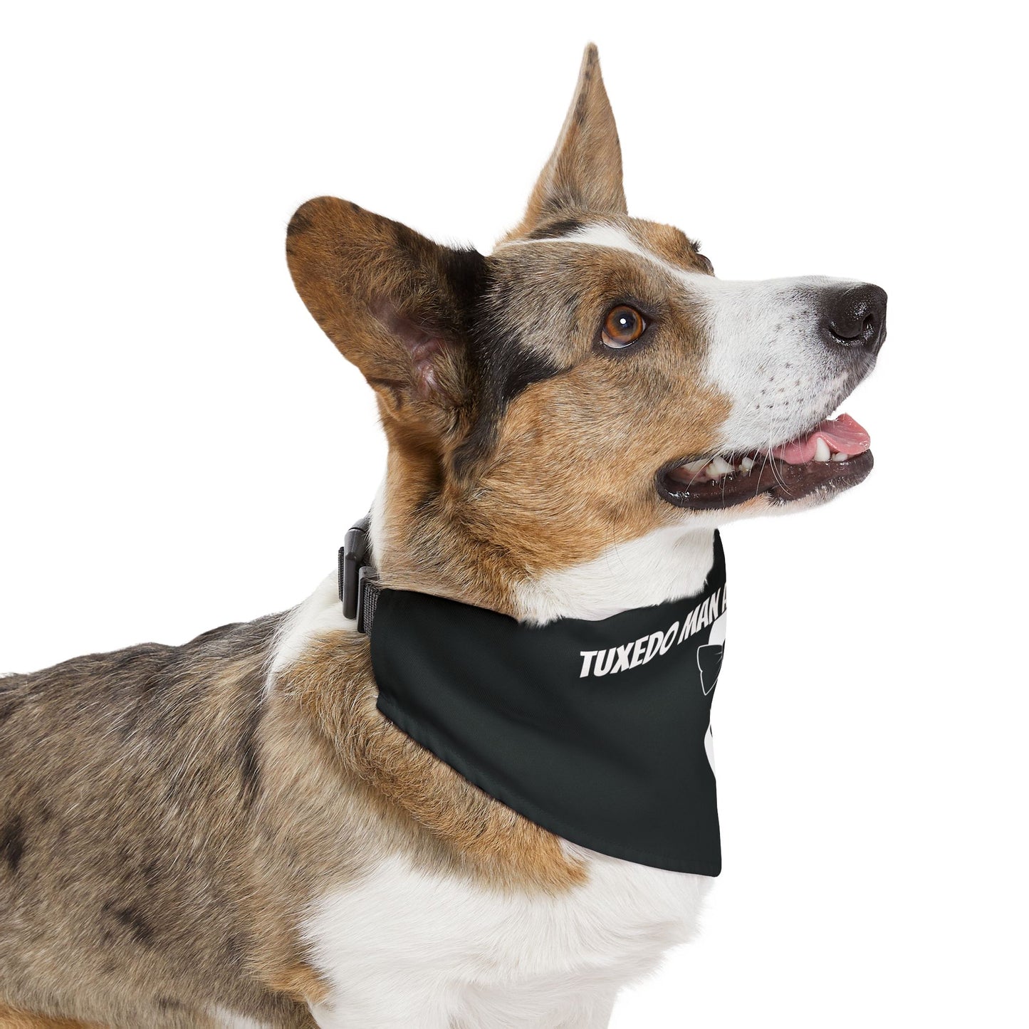 Pet Bandana Collar Black Tuxedo S-XL