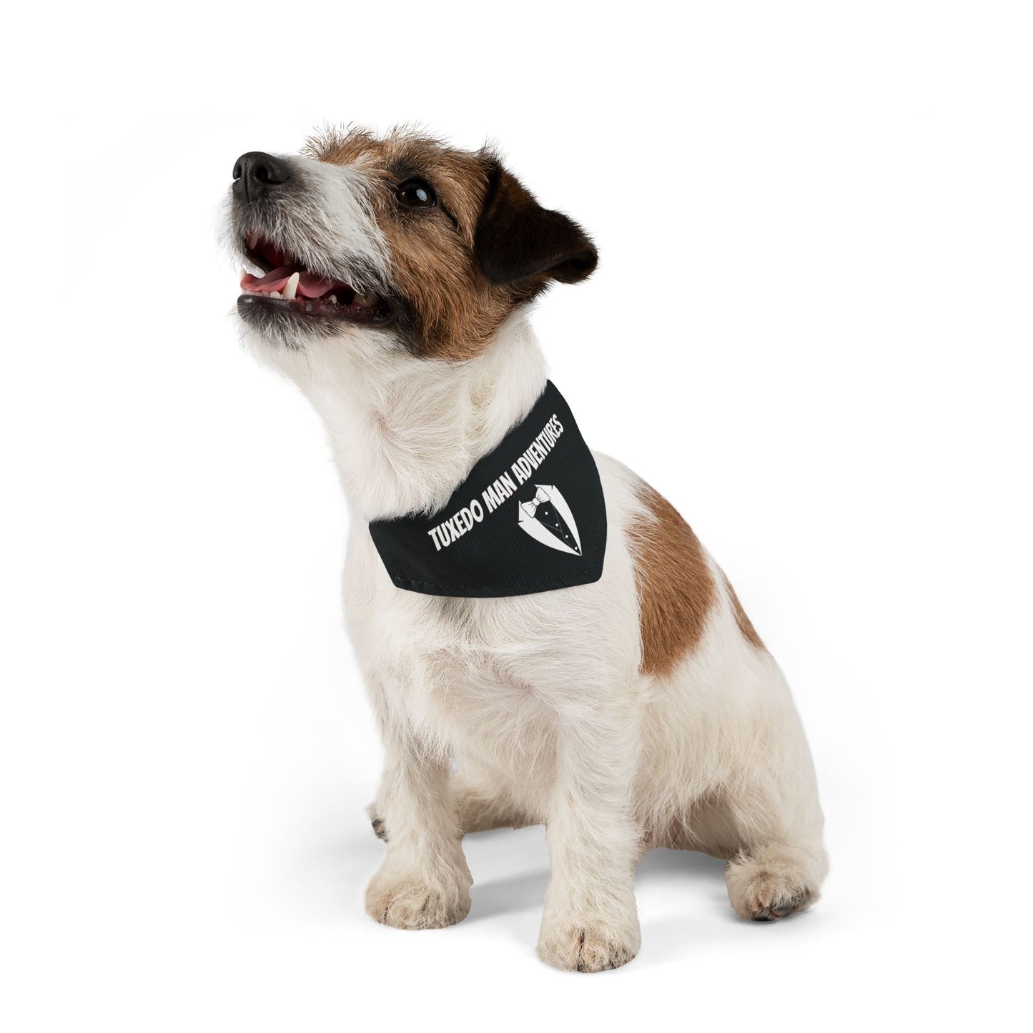Black Tuxedo Pet Bandana Collar S-XL